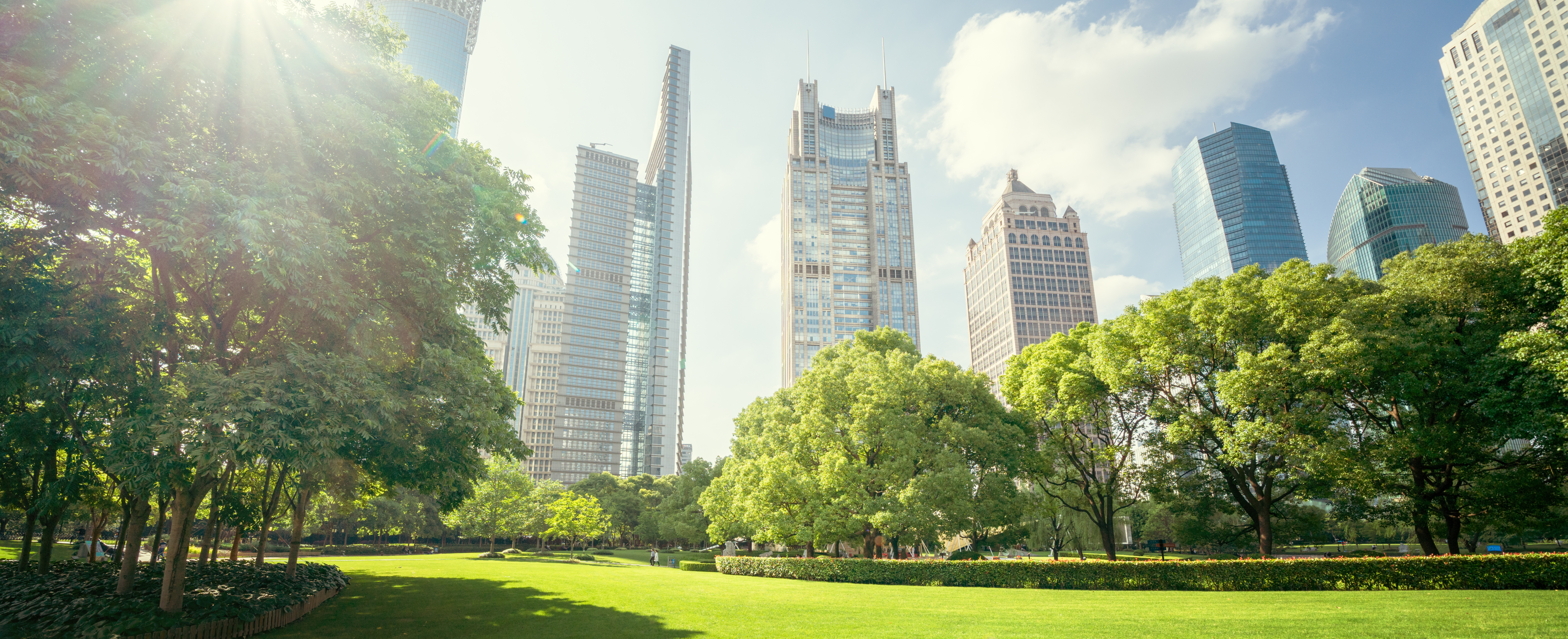 A city designed with nature, sustainability, and clean energy in mind